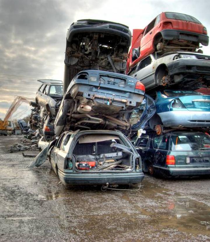 Ekologiczne aspekty kasacji