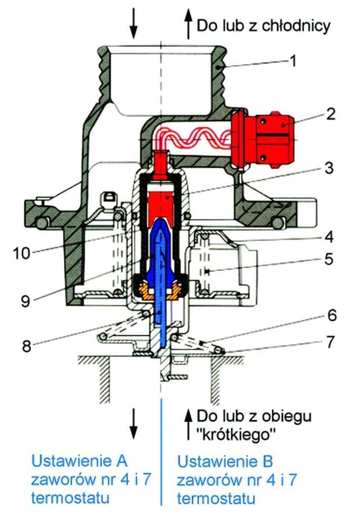Termostat samochodowy