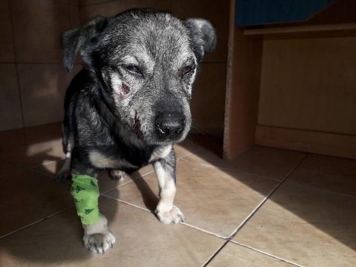 Zapobieganie wypadkom drogowym